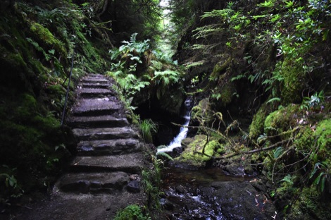 Puck's Glen